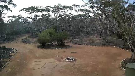 L'appel à l'aide de Deborah Pilgrim a été repéré le 16 octobre 2019 par un homme qui surveillait sa propriété à distance via une caméra vidéo. (SOUTH AUSTRALIAN POLICE / AFP)