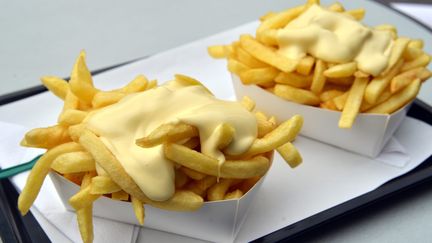 Après les attentats de Bruxelles, mardi 22 mars 2016, les internautes partagent des photos de frites sur les réseaux sociaux.&nbsp; (THOMAS MUNCKE / DPA / AFP)