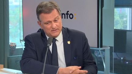 Louis Aliot, maire RN de Perpignan, était l'invité de franceinfo lundi 10 juin 2024. (FRANCEINFO/RADIO FRANCE)