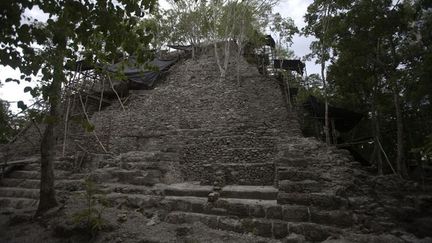 &nbsp; (Un adolescent affirme avoir découvert une cité maya cachée. © Reuters / Daniel Leclair)