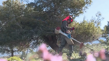 Incendies de forêt : les habitants des Alpes-Maritimes se mobilisent avant l’été