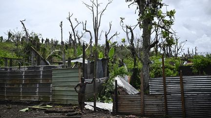 Une ferme endommagée par le passage du cyclone Chido, le 4 janvier 2025 à Bandraboua (Mayotte). (JULIEN DE ROSA / AFP)