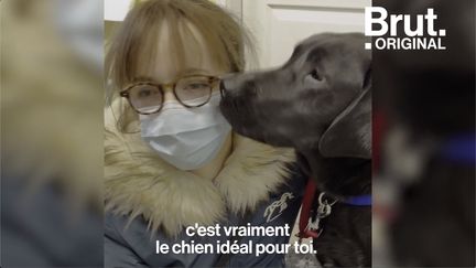 VIDEO. La rencontre entre Bérénice, malvoyante, et son chien guide (BRUT)