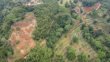 Une vue aérienne d'arbres sur les rives de la rivière Cisadane, à Parung, en Indonésie, le 13 octobre 2021. (BAY ISMOYO / AFP)