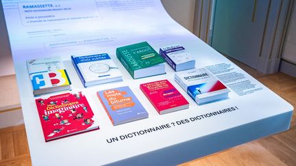 Un des dispositifs interactifs pour jouer avec les mots, ici en s'appuyant sur des dictionnaires, du parcours permanent "L'aventure du français" de la nouvelle Cité internationale de la langue française à Villers-Cotterêts, le 17 octobre 2023. (AMAURY CORNU / HANS LUCAS)