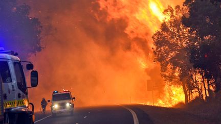 Les incendies de bush, un mélange de forêts et de broussailles, sont légion en Australie pendant l'été austral.