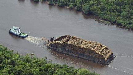 Il  a annoncé un moratoire de deux ans sur les permis de déforestation.
	  (AFP PHOTO / ROMEO GACAD)