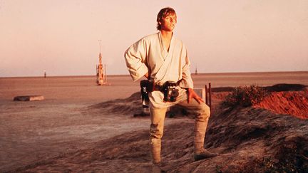 Mark Hamill incarne Luke Skywalker dans l'&eacute;pisode IV de "La Guerre des &eacute;toies", sorti en 1977, le premier de la trilogie tourn&eacute;e de George Lucas. (KOBAL / AFP)