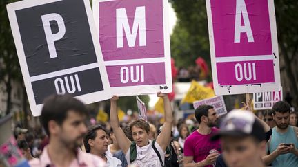 Des militants pour la PMA pour tous manifestent &agrave; Paris, le 29 juin 2013.&nbsp; (LIONEL BONAVENTURE / AFP)