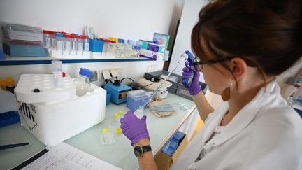 Des recherches sur la mucoviscidose menées à l'Université de Bretagne Occidentale. (LIONEL LE SAUX / MAXPPP)