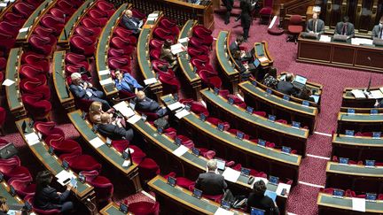 Les sénateurs examinent&nbsp;en première lecture le projet de loi de réforme de l'assurance-chômage, le 25 octobre 2022. (GAUTHIER BEDRIGNANS / HANS LUCAS / AFP)