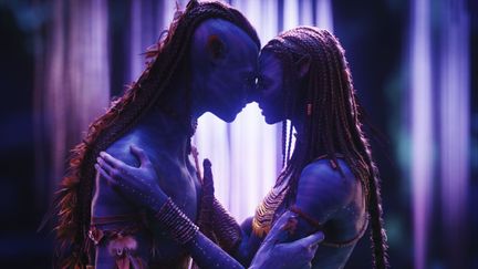 Dans "Avatar",&nbsp;James Cameron imagine un monde entier, une flore, une faune, une civilisation, une langue, des règles (Walt Disney Company)