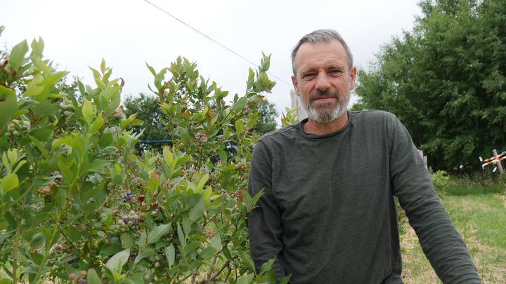 Frédéric Lantin produit ses arbustes à petits fruits rouges en Anjou. (ISABELLE MORAND / RADIO FRANCE / FRANCE INFO)