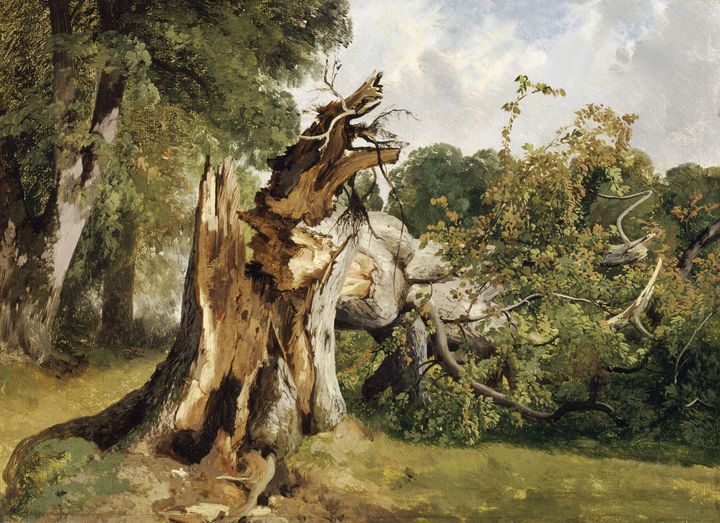 Alexandre Calame, "Arbre brisé au Kerket", Paris, musée du Louvre (© RMN-Grand Palais (musée du Louvre) / René-Gabriel Ojéda)