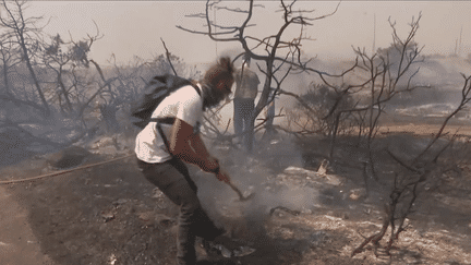 Incendies en Grèce : face au manque de pompiers, les habitants aident à combattre les flammes (franceinfo)