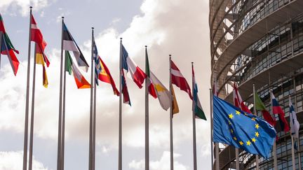 Flags fly in front of the European Parliament in Strasbourg, in April 2024. (TOBIAS CANALES / HANS LUCAS / AFP)