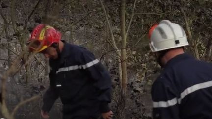 Des pompiers à&nbsp;Saint-Marcel-les-Annonay (Ardèche). (FRANCE 2)