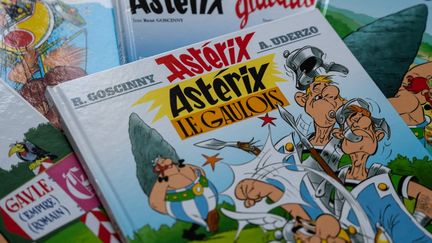 "Asterix, Astérix le Gaulois", est une serie de bande dessinée française créée en 1959 par le scenariste français René Goscinny et le dessinateur français Albert Uderzo. (RICCARDO MILANI / HANS LUCAS)