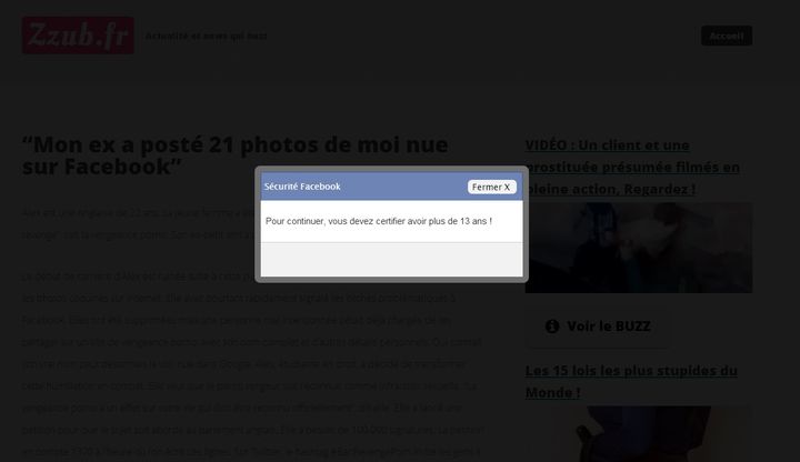 L'avertissement de zzub.fr, passage obligatoire avant d'acc&eacute;der aux articles frauduleux. (VINCENT MATALON / FRANCETV INFO)