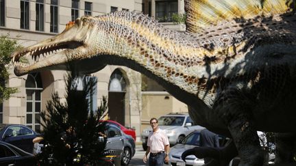 Un mod&egrave;le de Spinosaure, expos&eacute; devant l'immeuble de la National Geographic Society, &agrave; Washington (Etats-Unis), jeudi 11 septembre 2014.&nbsp; (JIM BOURG / REUTERS )