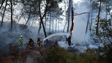 Des pompiers éteignent un incendie dans les Bouches-du-Rhône, le 10 août 2017. (BERTRAND LANGLOIS / AFP)