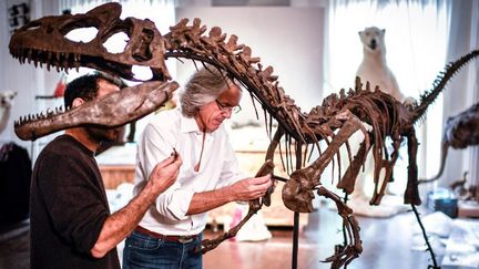 Le squelette d'Allosaurus mis au enchères à Artcurial en novembre 2018 n'a pas trouvé d'acheteur
 (STEPHANE DE SAKUTIN / AFP)