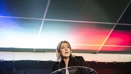 Marine Le Pen prononce un discours lors d'un rassemblement consacr&eacute; aux &eacute;lections d&eacute;partementales &agrave; La&nbsp;Roche-sur-Foron (Haute-Savoie),&nbsp;le 7 f&eacute;vrier 2015. (JEAN-PHILIPPE KSIAZEK / AFP)