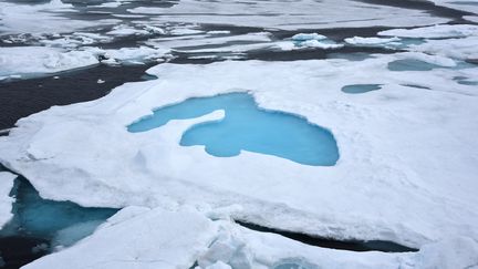 Pôle magnétique : le Nord déboussolé