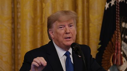 Le président américain, Donald Trump, lors d'une conférence de presse à Washington, le 31 janvier 2020. (ANDREW CABALLERO-REYNOLDS / AFP)