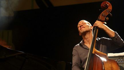 Le contrebassiste Avishai Cohen au festival Jazz à Vauvert (7 juillet 2017)
 (Franck Lodi / Sipa)