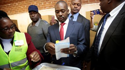 Le leader de l'opposition au Zimbabwe, Nelson Chamisa,&nbsp;dans un bureau de vote à Harare, le 30 juillet 2018. (WILFRED KAJESE / ANADOLU AGENCY / AFP)