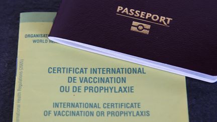 Un passeport vaccinal (pass sanitaire).&nbsp; (JEAN-FRANCOIS FREY / MAXPPP)