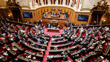 Le projet de réforme des retraites a été approuvé en commission, par les sénateurs, mardi 28 février. (ADRIEN FILLON / HANS LUCAS)