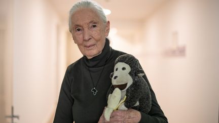 L'anthropologue, Jane Goodall, à Munich en Allemagne, le 2 mai 2023. (ALEXANDER POHL / ALTO PRESS / MAXPPP)