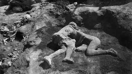 Le moulage tel qu'il a été découvert par Vittorio Spinazzola en 1914.&nbsp; (Soprintendenza Pompei)