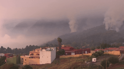 Incendies à Tenerife : le vent renforce les flammes (FRANCE 2)