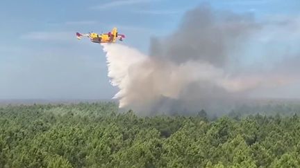 Incendies en Gironde :&nbsp; 1 840 personnes évacuées depuis lundi, 21 nouveaux départs de feu (FRANCE 3)