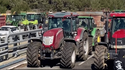 Colère des agriculteurs : la circulation perturbée sur l'A9 en raison d'un mouvement en Espagne (France 2)