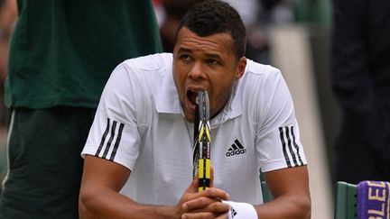 Le tennisman français Jo-Wilfried Tsonga