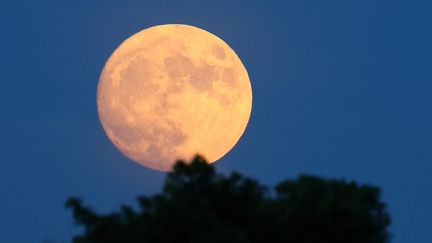 La "super Lune bleue" visible depuis Edogawa Ward, à Tokyo, au Japon, dans la nuit du 30 au 31 août 2023. (KOTA KIRIYAMA / YOMIURI / AFP)