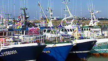 Bateaux de pêche à l'anchois (archives) (France 2)