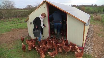 Terroir : découvrir le quotidien d’une ferme (FRANCE 2)