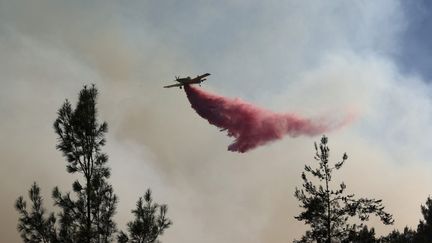 Un avion intervient pour tenter d'éteindre un feu dans la région de Jérusalem, le 15 août 2021. (MOSTAFA ALKHAROUF / ANADOLU AGENCY / AFP)