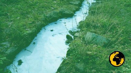 La laiterie de Theix (Puy-de-Dôme) rejette régulièrement ses eaux usées dans l'Auzon. (DR)