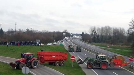 &nbsp; (Les éleveurs tirent depuis des mois la sonnette d'alarme en raison des cours trop bas, inférieurs aux coûts de production © Radio France / France Bleu Armorique)