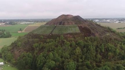 Agriculture : dans le Pas-de-Calais, un vin Ch'ti cultivé sur un terril