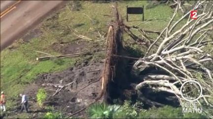 Un arbre arraché par une tornade aux Etats-Unis (France 2)