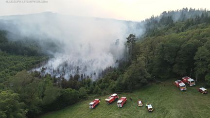 Des pompiers du Finistère interviennent sur un feu à Saint-Goazec, le 7 juin 2023. (SDIS 29 / AFP)