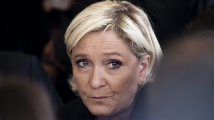 Marine Le Pen lors d'un meeting de&nbsp;rentrée politique du FN, à Brachay&nbsp; (MAXPPP)