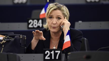 Marine Le Pen, le 17 janvier 2016 dans l'hémicycle du Parlement européen, à Strasbourg. (FREDERICK FLORIN / AFP)